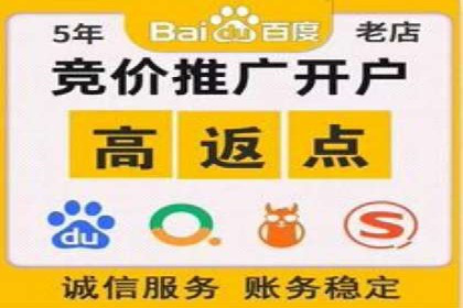 百度竞价排名服务：实战案例解析与优化技巧